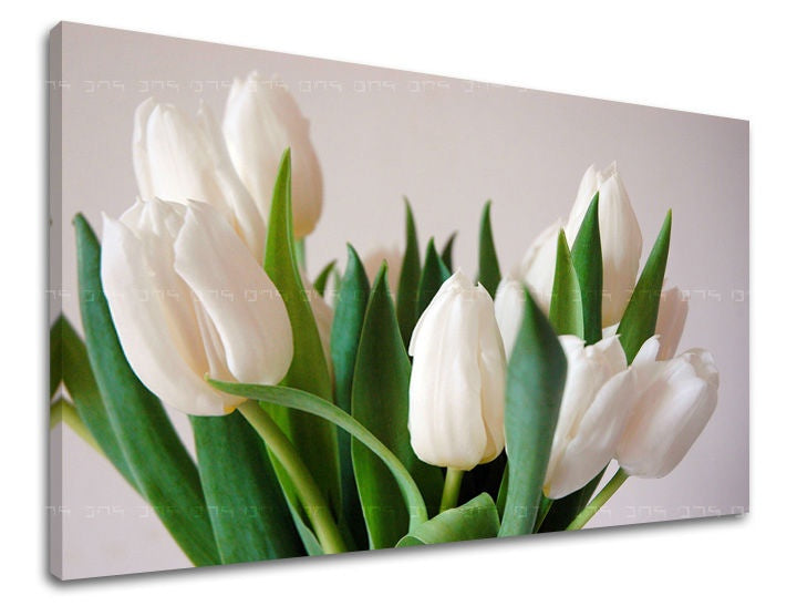 Kvalitní tisk na plátně zobrazuje detailní záběr na kytici bílých tulipánů s výraznými zelenými listy, připravený k zavěšení, Papilora.