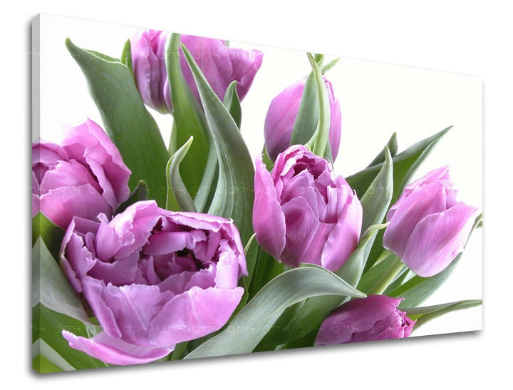 Detailní záběr na kytici fialových tulipánů s výraznými zelenými listy na bílém pozadí, zobrazený na plátně s viditelným dřevěným rámem Papilora.