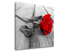 Nádherný tisk červené růže na černobílém dřevěném pozadí, viditelný na plátně s dřevěným rámem, Papilora.