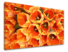 Detailní pohled shora na kytici oranžových tulipánů s viditelným dřevěným rámem plátna Papilora.