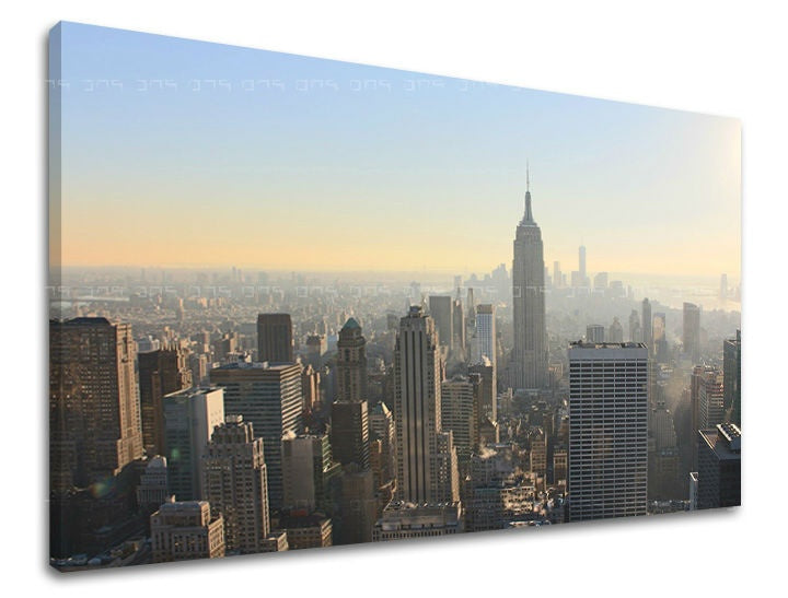 Na plátně je zachyceno panoráma New Yorku s dominantní budovou Empire State Building v ranním oparu, v odstínech modré a žluté, Papilora.