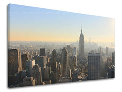 Na plátně je zachyceno panoráma New Yorku s dominantní budovou Empire State Building v ranním oparu, v odstínech modré a žluté, Papilora.