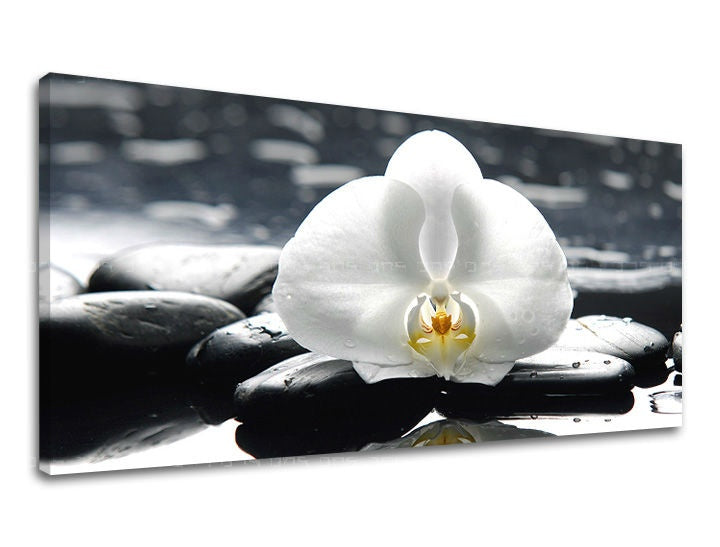 Na plátně je zobrazena bílá orchidej s kapkami vody na černých kamenech, což vytváří uklidňující kontrast Papilora.