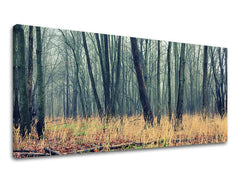 Detailní náhled kompozice zobrazuje hustotu stromů v mlze a suchou, zlatavou trávu v popředí Papilora.