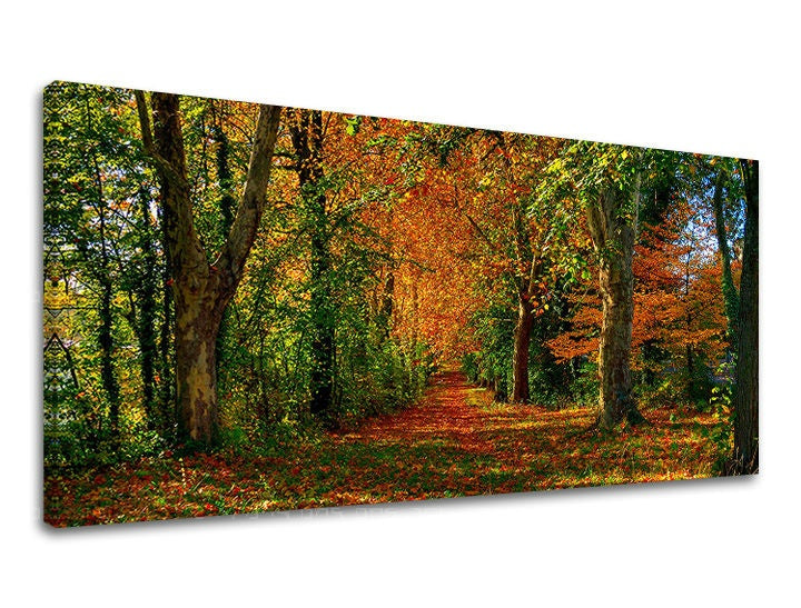 Klasický obraz na plátně s motivem PANORÁMA STROMY, stromy, krajina, mapa, příroda v oranžovo-zelených odstínech, klidná atmosféra, vhodný do chodby – hlavní
