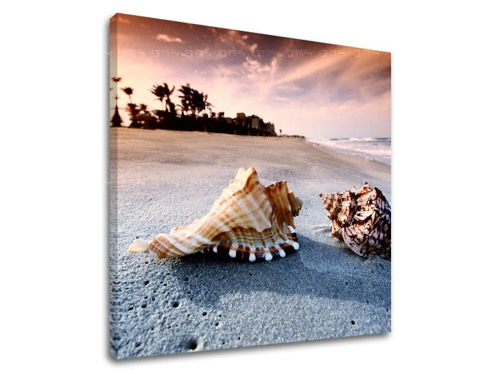Na tomto uměleckém díle na plátně jsou zobrazeny dvě mušle na písečné pláži při západu slunce, s viditelným dřevěným rámem Papilora.
