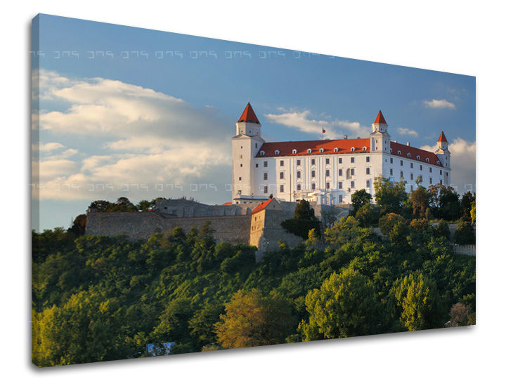 Na tomto plátně je zobrazen Bratislavský hrad s červenými střechami a bílými zdmi, tyčící se nad zeleným kopcem pod modrou oblohou s mraky, Papilora.
