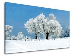 Klasický obraz na plátně s motivem krajina, příroda, stromy v bílo-modrých odstínech, klidná atmosféra, příroda, vhodný do obývacího pokoje | Obraz na stěnu STROMY – hlavní