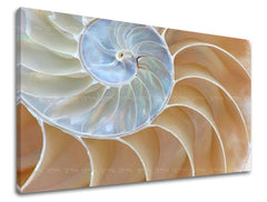 Nástěnná malba ABSTRAKT AB092E11