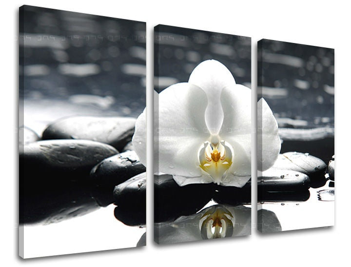 3dílná nástěnná malba FENG SHUI FS018E30