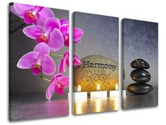 3dílná nástěnná malba FENG SHUI FS023E30