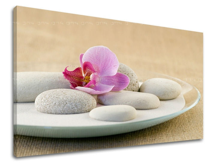 Nástěnné umění FENG ŠUEJ FS042E11