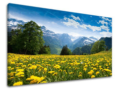 Nástěnná malba KRAJINA KR036E11