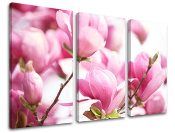 3dílná nástěnná malba KVĚTINY KV002E30