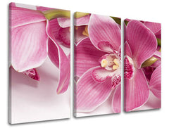 3dílná nástěnná malba KVĚTINY KV034E30