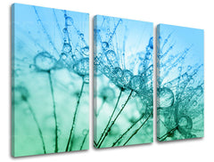 3dílná nástěnná malba KVĚTINY KV061E30