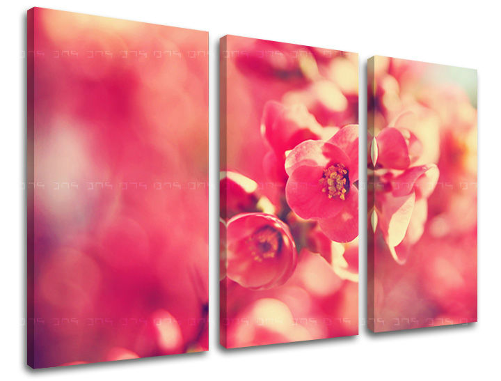 3dílná nástěnná malba KVĚTINY KV072E30