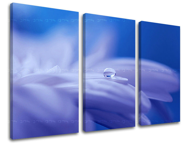 3dílná nástěnná malba KVĚTINY KV087E30