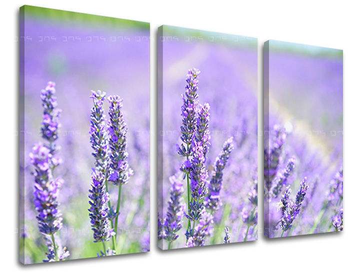 3dílná nástěnná malba KVĚTINY KV092E30