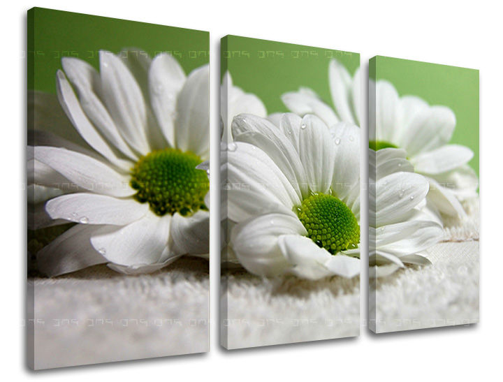 3dílná nástěnná malba KVĚTINY XOBKV111E30