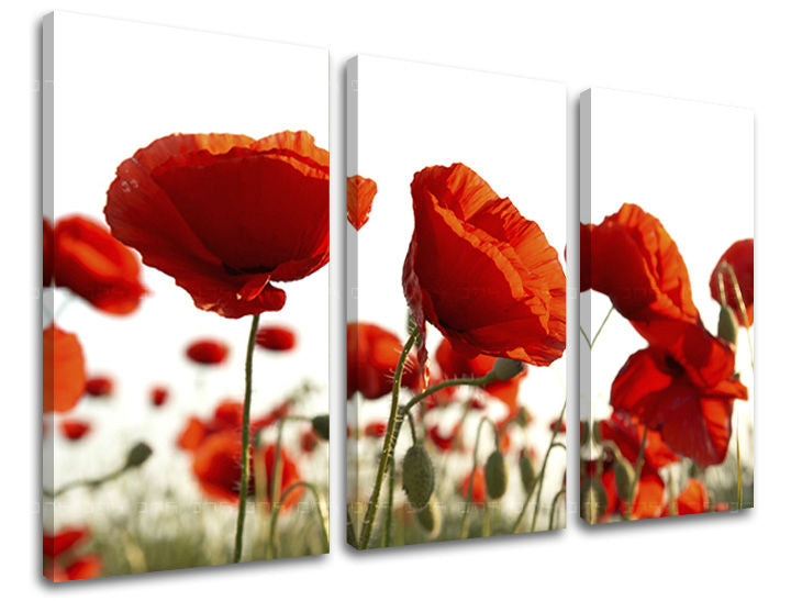 3dílná nástěnná malba KVĚTINY XOBKV118E30