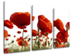 3dílná nástěnná malba KVĚTINY XOBKV118E30