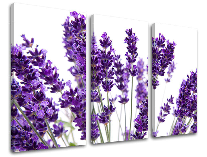 3dílná nástěnná malba KVĚTINY XOBKV128E30