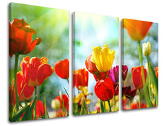 3dílná nástěnná malba KVĚTINY XOBKV145E30