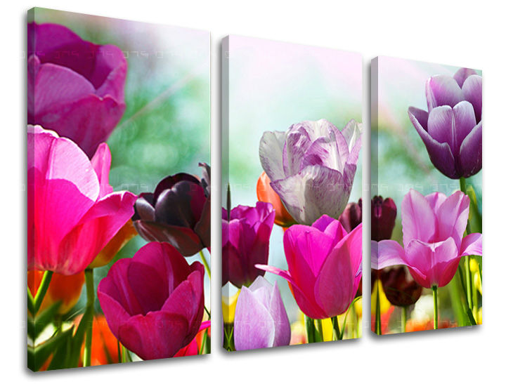 3dílná nástěnná malba KVĚTINY XOBKV148E30