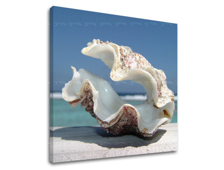 Nástěnná malba PLÁŽ PL005E12