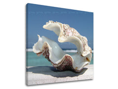 Nástěnná malba PLÁŽ PL005E12