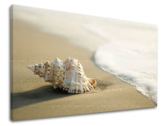 Nástěnná malba PLÁŽ PL006E11