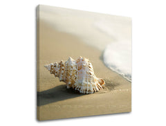 Nástěnná malba PLÁŽ PL006E12