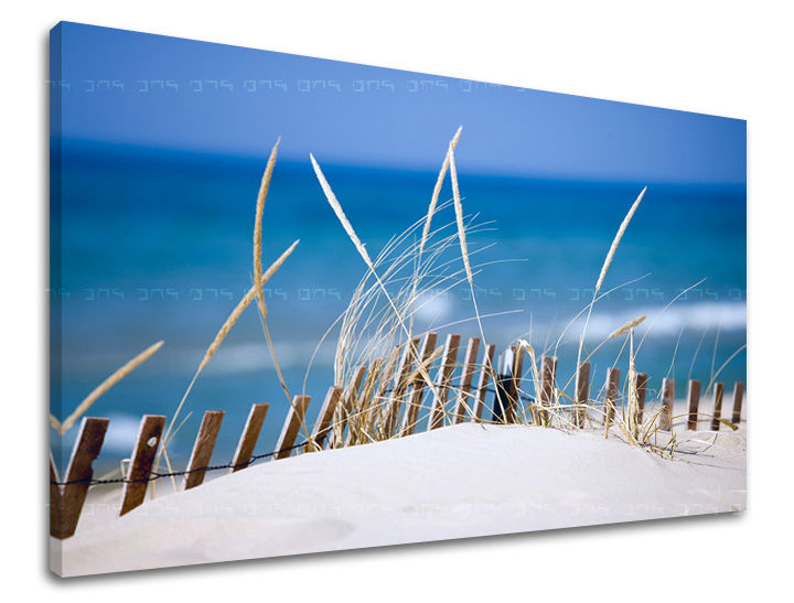 Nástěnná malba PLÁŽ PL012E11