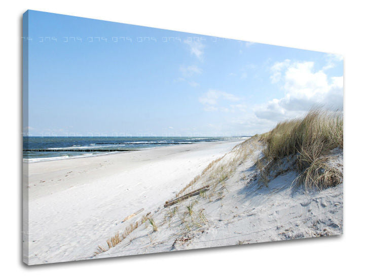 Nástěnná malba PLÁŽ PL019E11