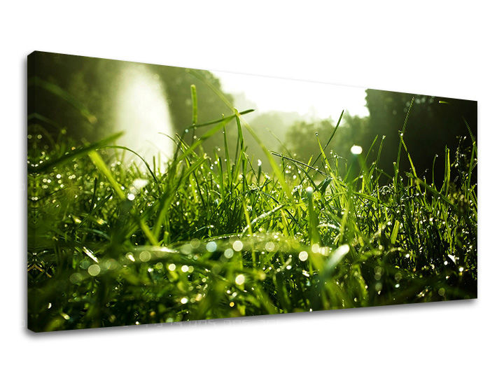 Nástěnná malba PANORAMA ROSTLINY RA001E13