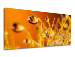 Nástěnná malba PANORAMA ROSTLINY RA002E13