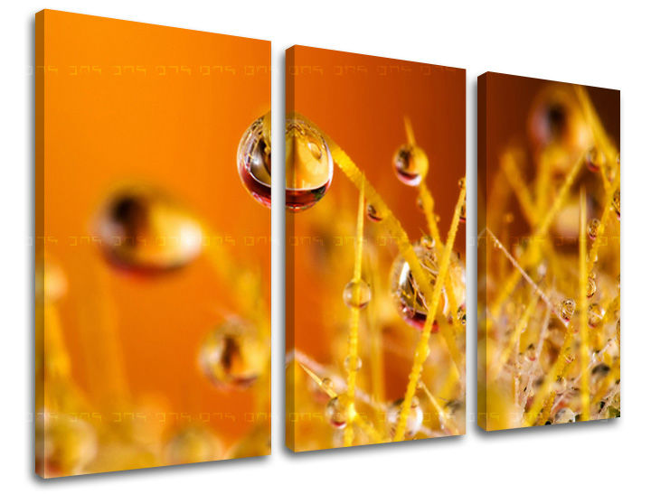 3dílná malba na zeď RASTLINY RA002E30