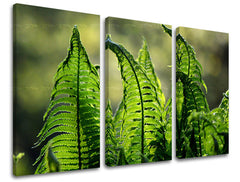 3dílná malba na zeď RASTLINY RA004E30