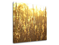 Nástěnná malba RASTLINY RA005E12