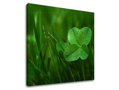 Nástěnná malba RASTLINY RA008E12