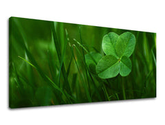 Nástěnná malba PANORAMA ROSTLINY RA008E13