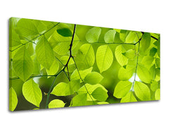 Nástěnná malba PANORAMA ROSTLINY RA016E13