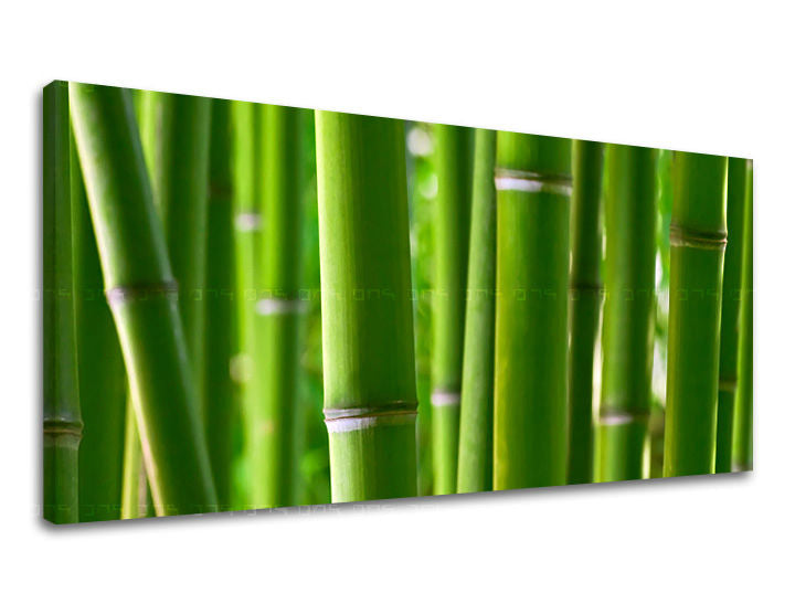 Nástěnná malba PANORAMA ROSTLINY RA017E13