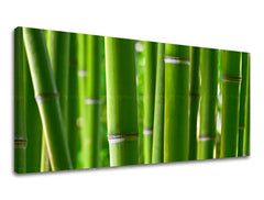 Nástěnná malba PANORAMA ROSTLINY RA017E13