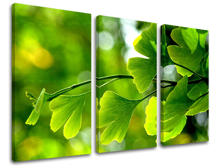 3dílná malba na zeď RASTLINY RA020E30