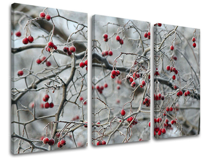 3dílná nástěnná malba STROMY ST006E30