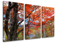 3dílná nástěnná malba STROMY ST012E30