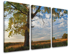 3dílná nástěnná malba STROMY ST016E30