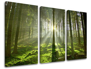 3dílná nástěnná malba STROMY ST021E30